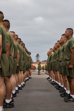 New U.S. Marines with Charlie Company, 1st Recruit Training Battalion, stand in formation before their motivational run at Marine Corps Recruit Depot San Diego, California, Sept. 12, 2024. The company motivational run is a three-mile cadence run conducted around the Depot and is the last physical training event the Marines will conduct before the graduate from MCRD San Diego. The event is also the first time friends and families will see their newly transformed Marines. (U.S Marine Corps Cpl. Sarah M. Grawcock)