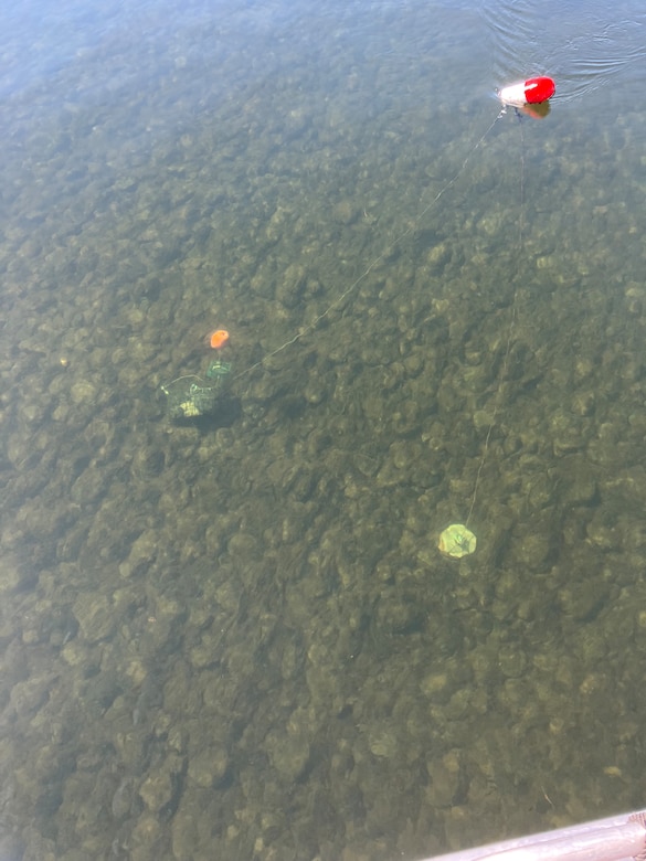 Researchers show off a sample of the floating algae mats found at Rufus Woods Lake, May 2023.