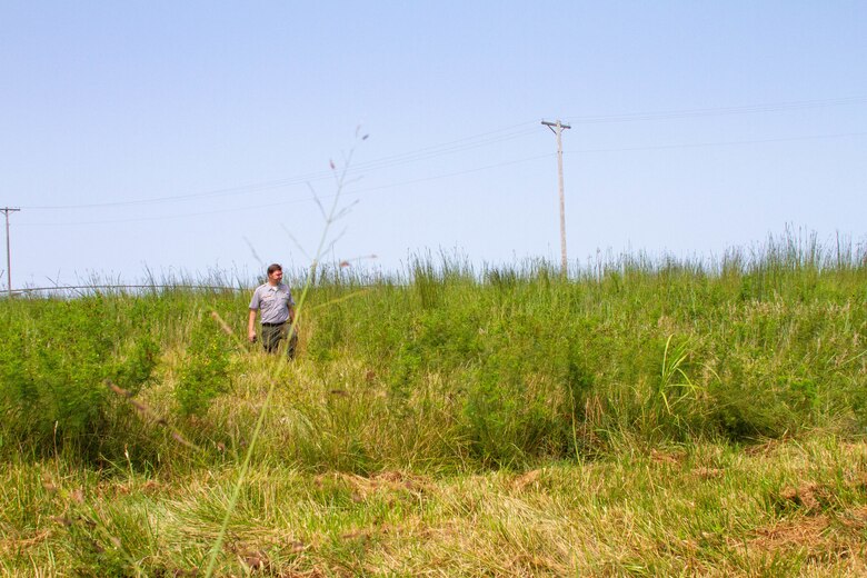 A man in a grey shirt walks through waist high grass with blue sky in the background.