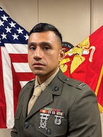 Inspector-Instructor Delta Battery, 2nd Battalion, 14th Marine Regiment