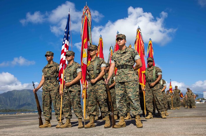 U.S. Marines with U.S. Marine Corps Forces, Pacific stand at parade rest during the MARFORPAC change of command ceremony on Marine Corps Base Hawaii, Sept. 12, 2024. Lt. Gen. William M. Jurney relinquished command to Lt. Gen. James F. Glynn. With two-thirds of the Marine Corps’ operating forces assigned, MARFORPAC operates in the U.S. Indo-Pacific Command area of responsibility, the largest Geographical Combatant Command in the U.S. Department of Defense, as the Nation’s expeditionary force-in-readiness. Pacific Marines serve alongside the joint force and like-minded allies and partners to preserve and maintain a free and open Indo-Pacific region. (U.S. Marine Corps photo by Cpl. Jonathan Beauchamp)