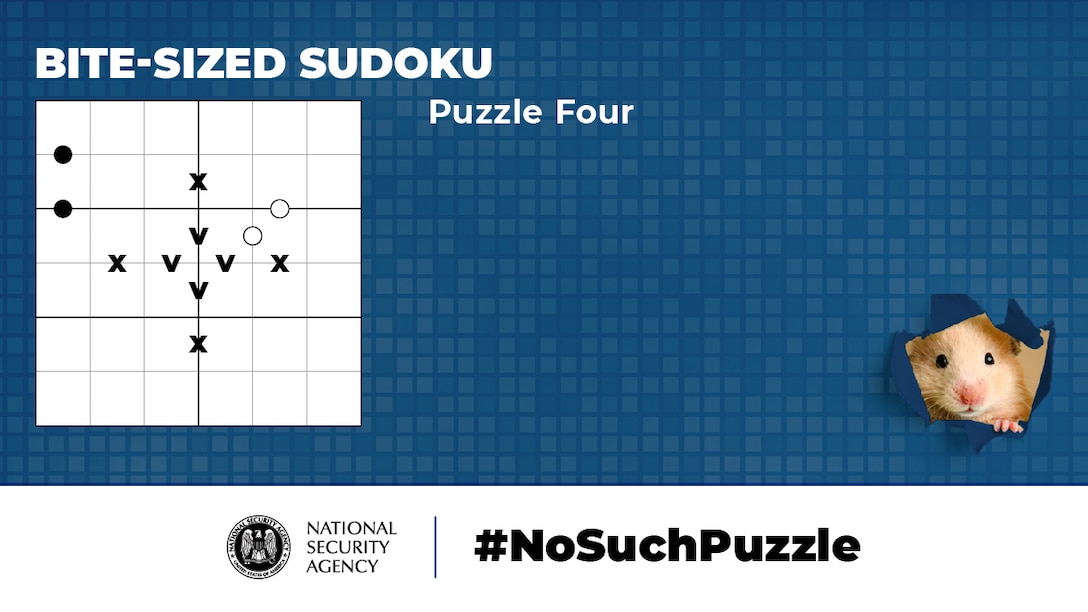 No Such Puzzle: Bite-Sized Sudoku Puzzle Four Graphic