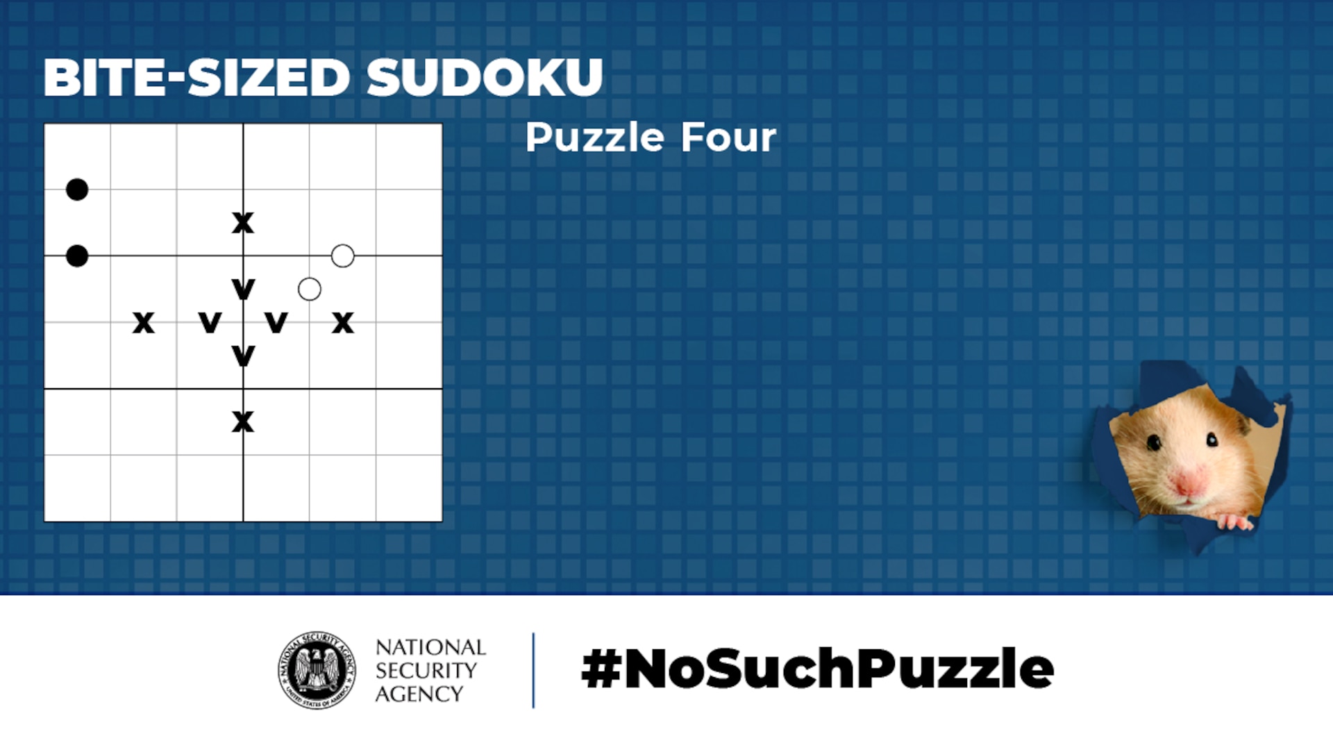 No Such Puzzle: Bite-Sized Sudoku Puzzle Four Graphic