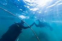 U.S. Navy explosive ordnance disposal (EOD) technicians from Explosive Ordnance Disposal Mobile Unit (EODMU) 8 and EOD technicians from the Japan Maritime Self-Defense Force and EOD from the Ukrainian Navy, conduct underwater demolition operations off the coast of Varna, Bulgaria, during exercise Sea Breeze 2024, Sept. 13, 2024. Sea Breeze is an annual maritime exercise aimed at building collective capability and agility to restore security and stability in the dynamic Black Sea. Sea Breeze 2024-3 is focused on explosive ordnance disposal, dive operations and unmanned underwater vehicles.