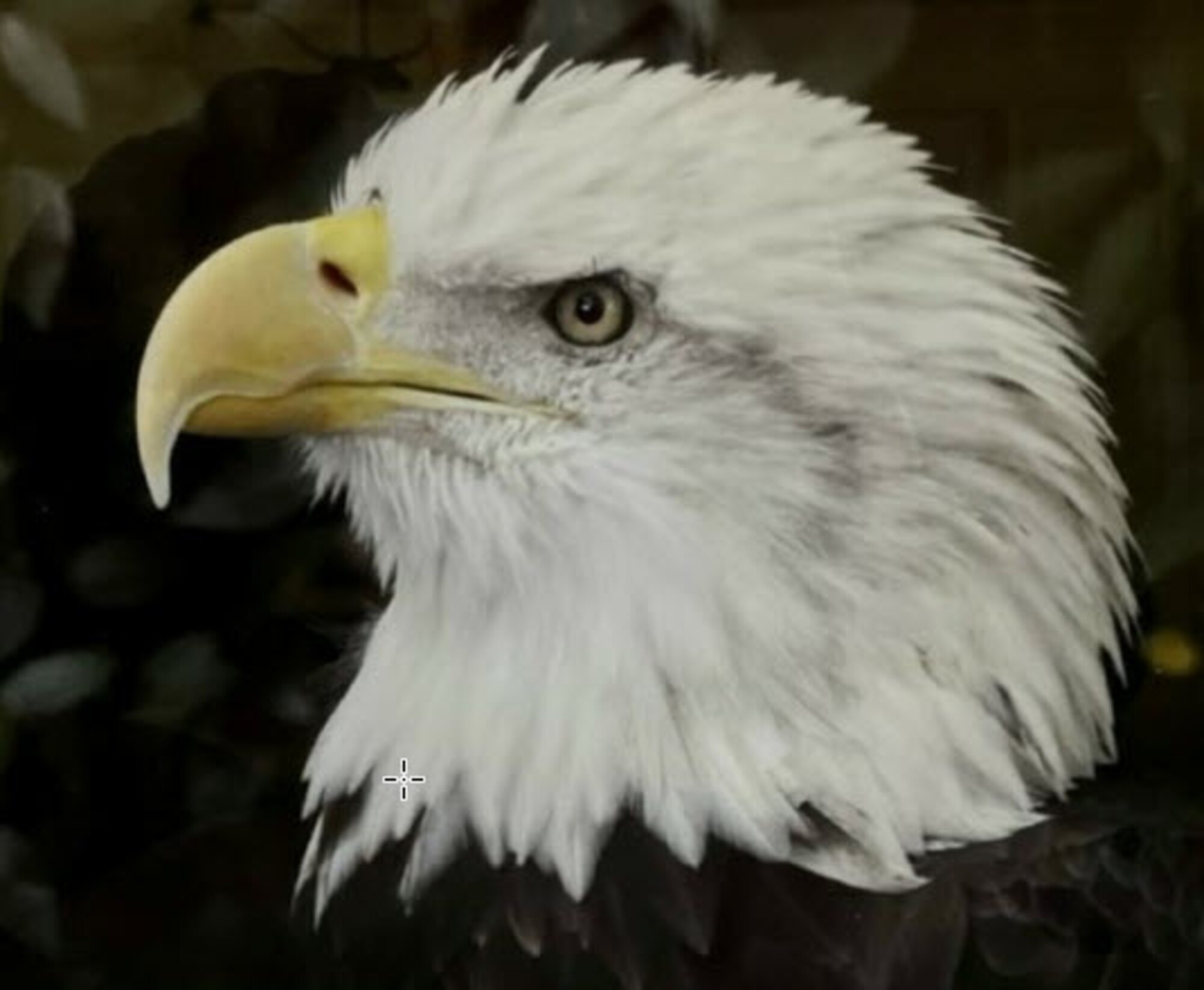 Artwork submitted by Edward Sikora for the Air University Art of Service art show at Maxwell Air Force Base, Alabama Sept. 9 - Nov. 14, 2024. (Courtesy artwork by Edward Sikora)