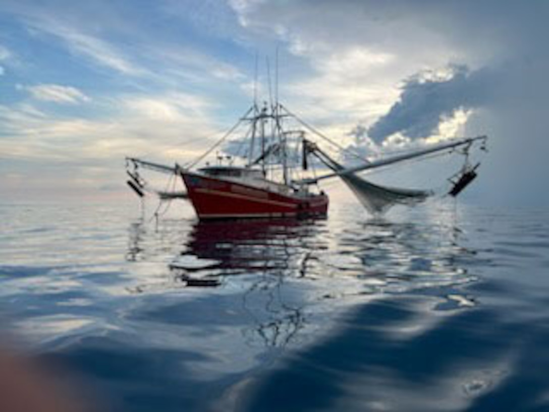 A Coast Guard Station Key West law enforcement crew boards a fishing vessel during a routing inspection approximately 12 miles off Marquesas Keys, Florida, Sept. 19, 2024. The vessel's voyage was cut short due to expired fishing permits. (U.S. Coast Guard photo)