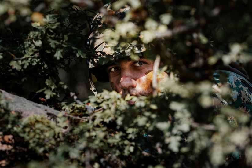 Close-up of a Bosnian soldier looking through a wooded area.