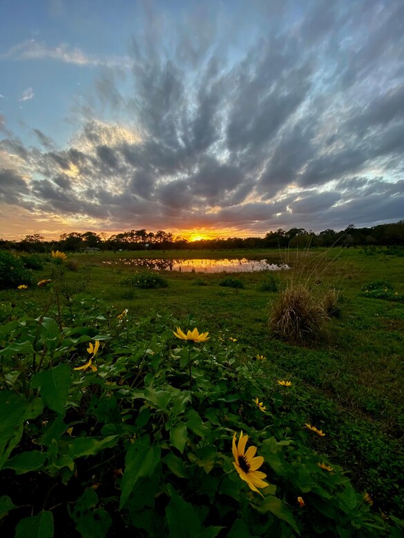 Sun setting