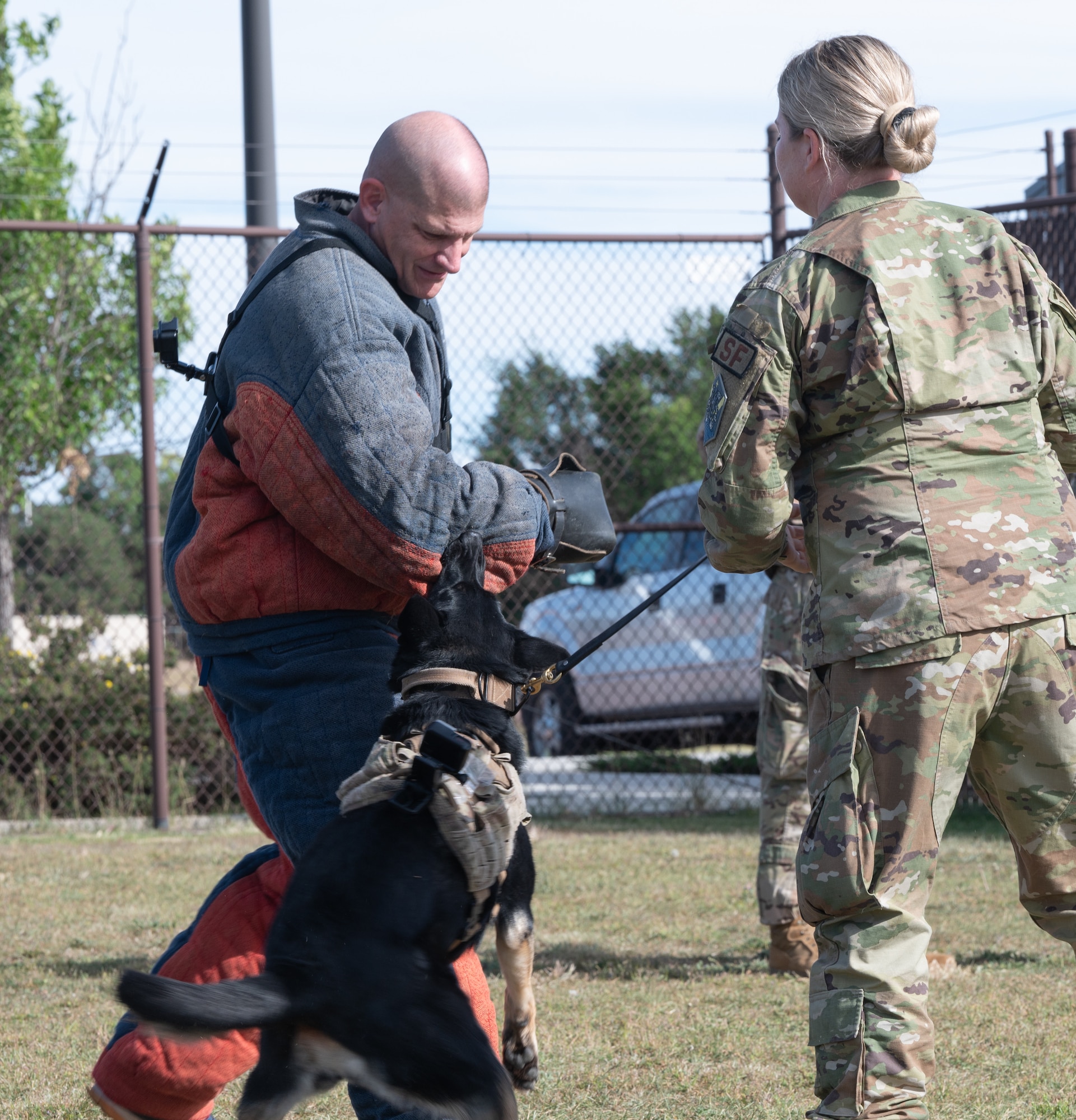 U.S. Space Force Col. Kenneth Klock while wearing a protective suit gets bitten by Queny, 21st Security Forces Squadron military working dog.