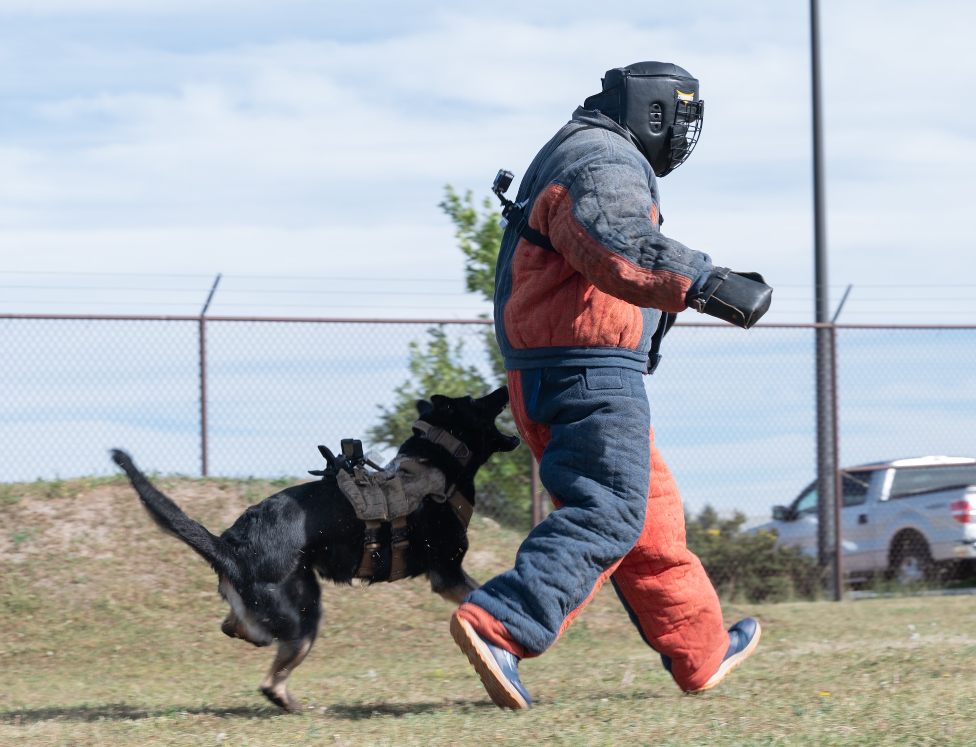 U.S. Space Force Col. Kenneth Klock runs away from Queny, 21st Security Forces Squadron military working dog.