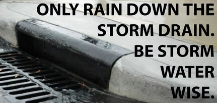 Only Rain Down the Storm Drain!