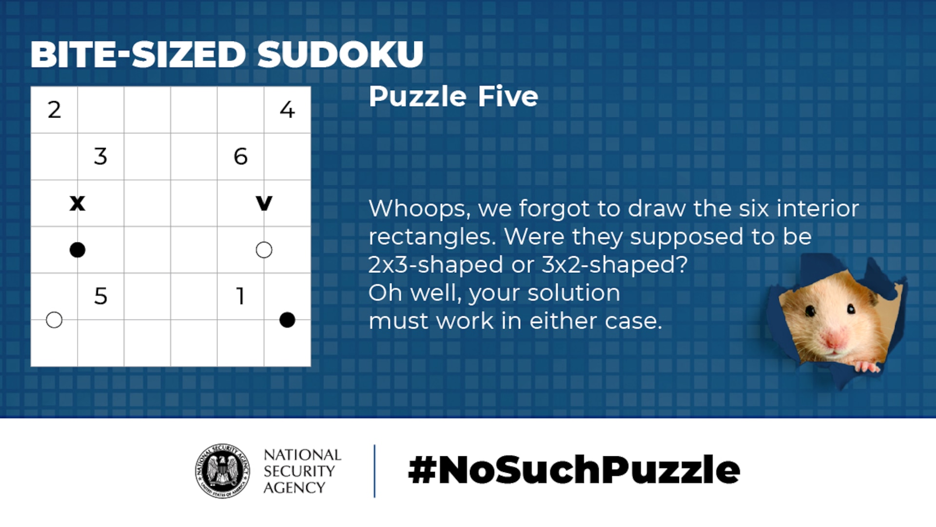 No Such Puzzle: Bite-Sized Sudoku Puzzle Five Graphic