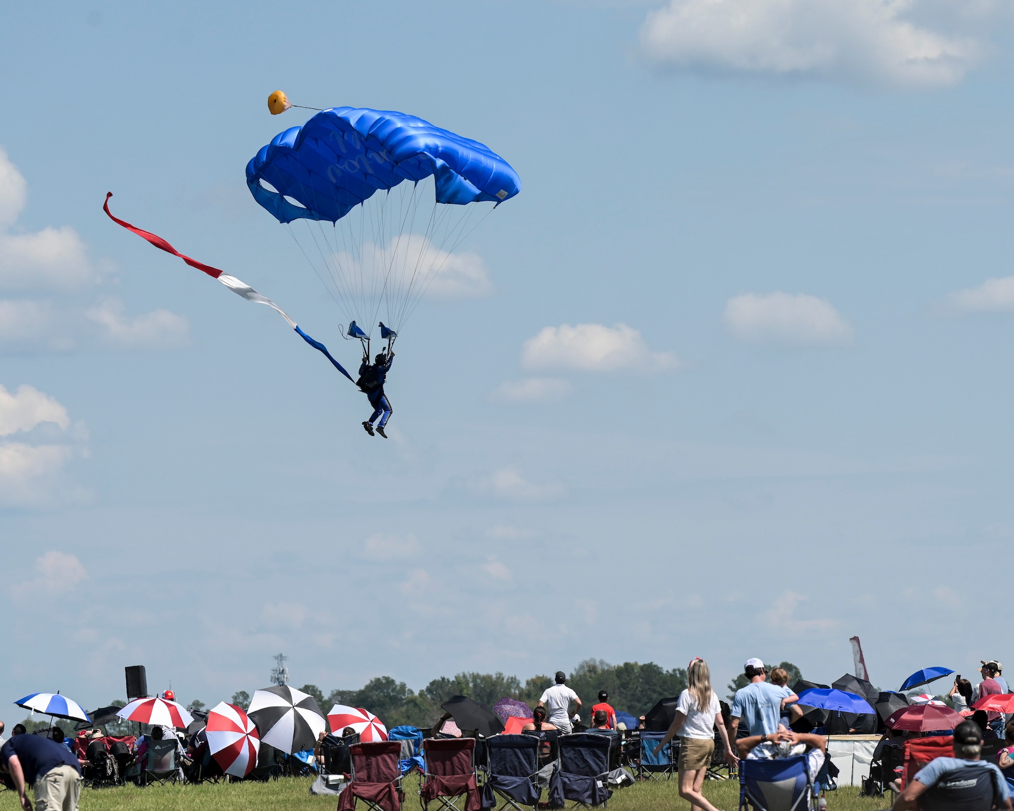 All Veterans Group parachutes into air show.