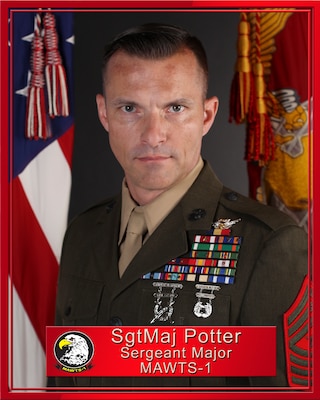 Portrait of Sgt. Maj. David M. Potter
