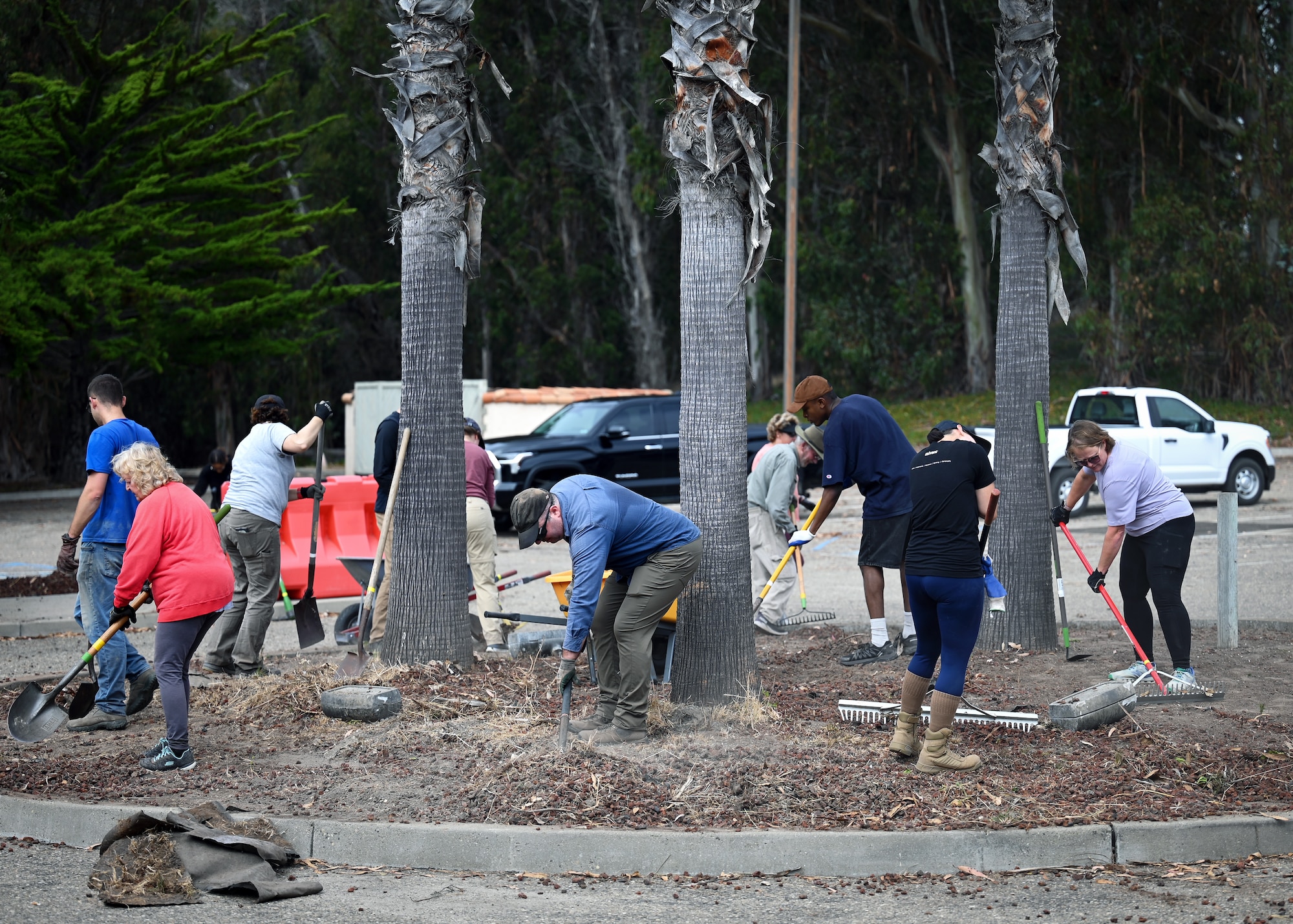 Volunteers help cleanup public land.