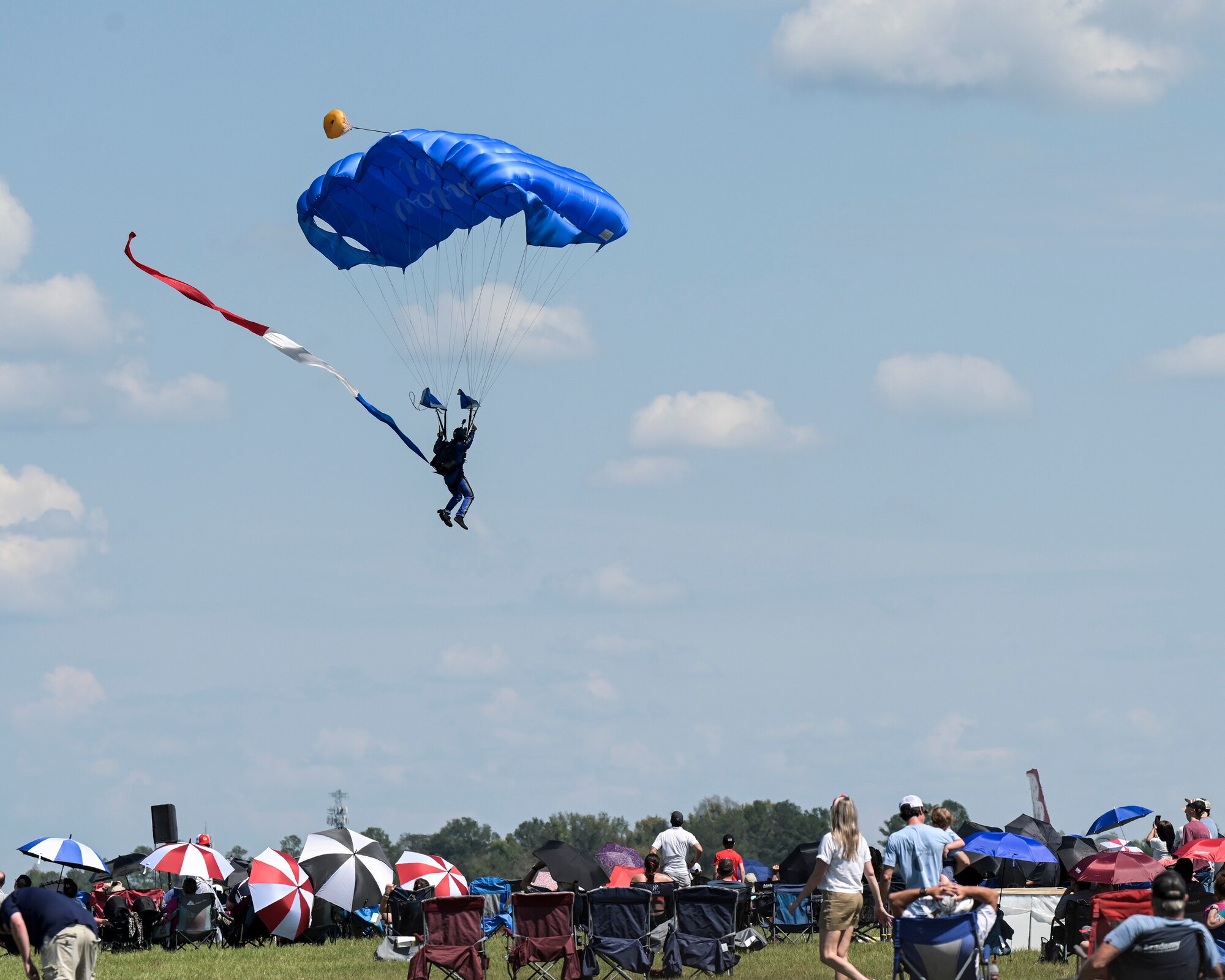 All Veterans Group parachutes into air show.