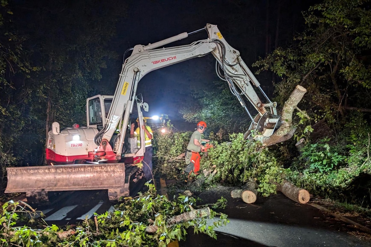 A group of engineers using a crane remove tree debris from a road during night time.