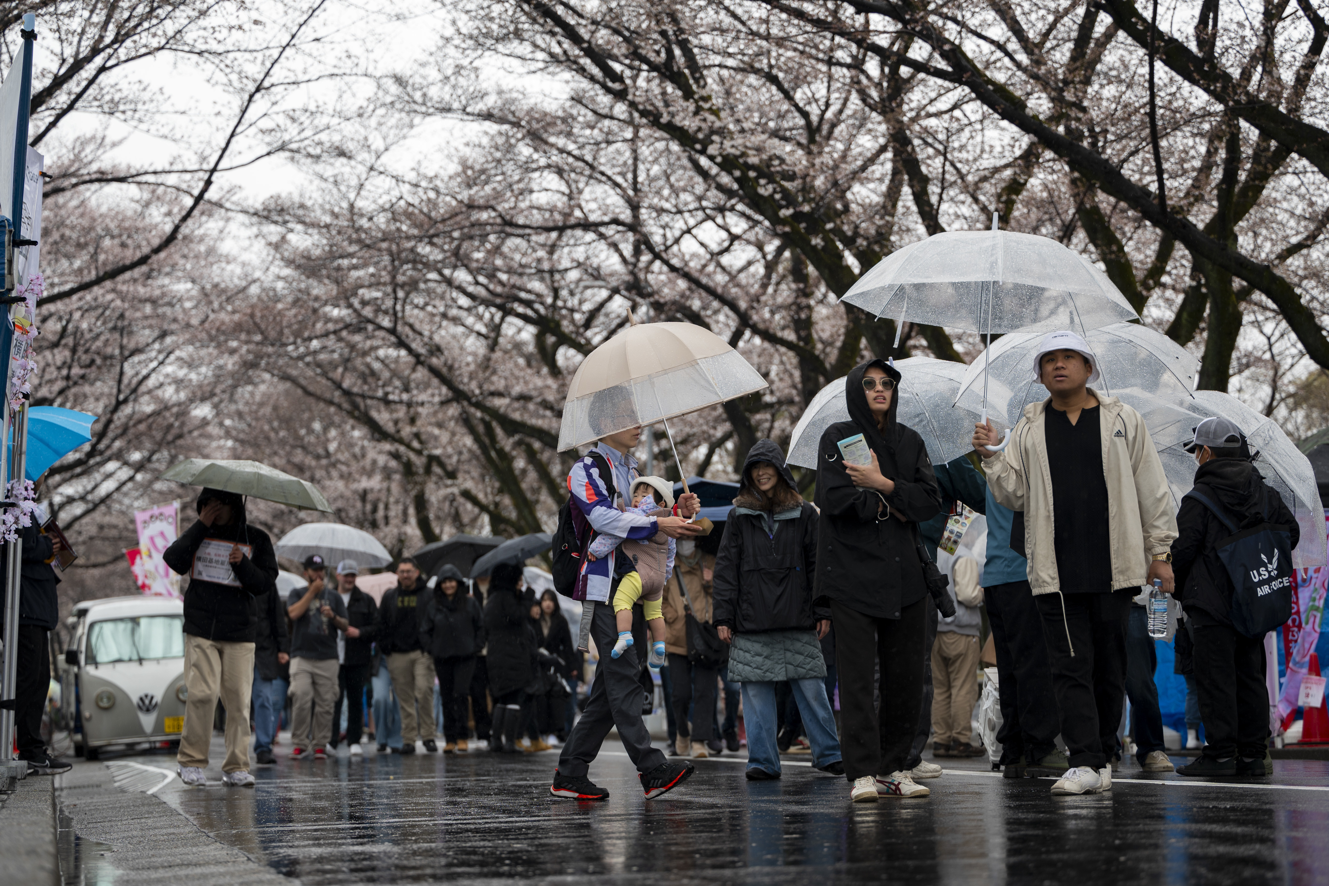 U.S., Japan friendship flourishes during rainy Sakura Festival