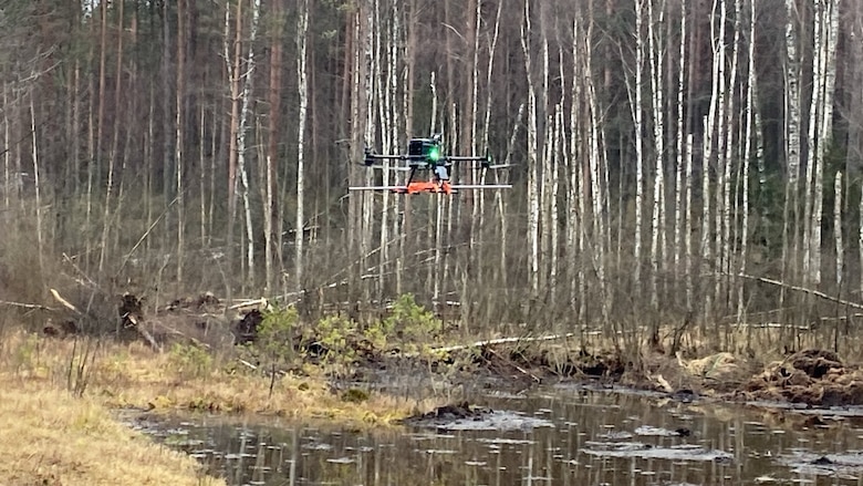 Estonian military working dog assisting in recovery efforts
