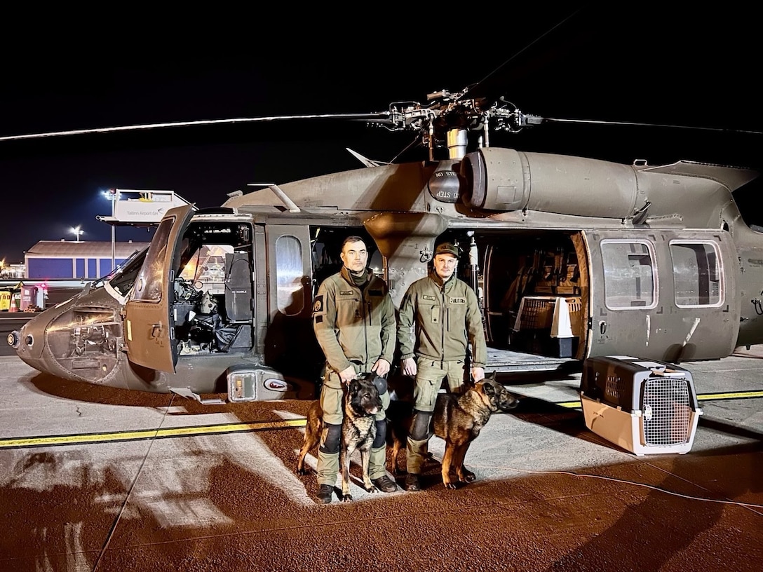 Estonian military working dog assisting in recovery efforts