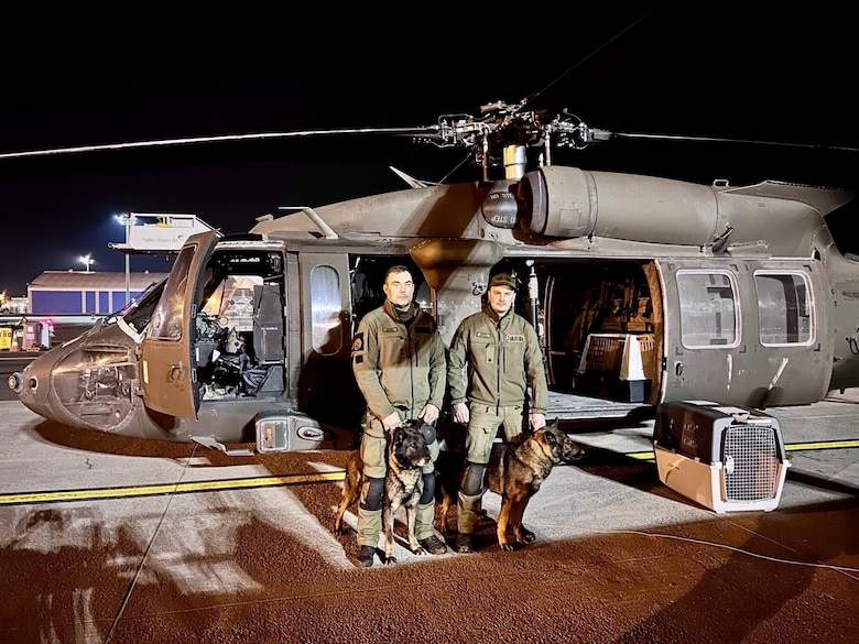 Estonian military working dog assisting in recovery efforts