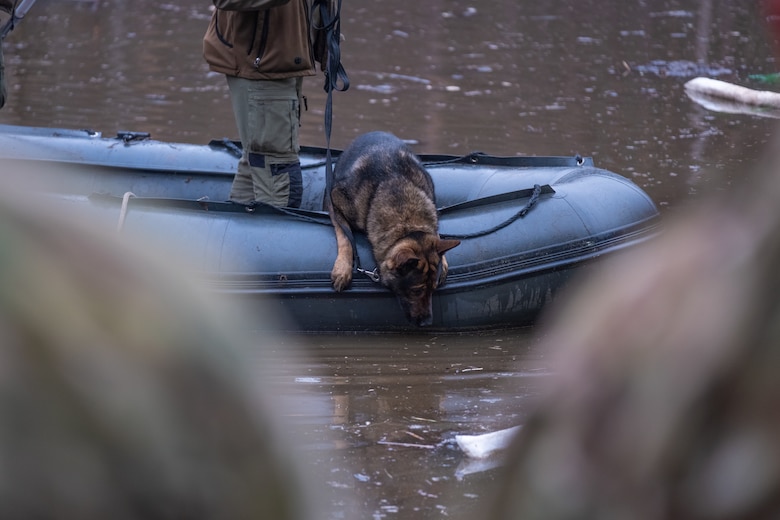 Maik, a search and rescue military police dog and his handler of the Estonian Defense Force assist in recovery efforts of a missing U.S. soldier on a military training site near Pabrade, Lithuania