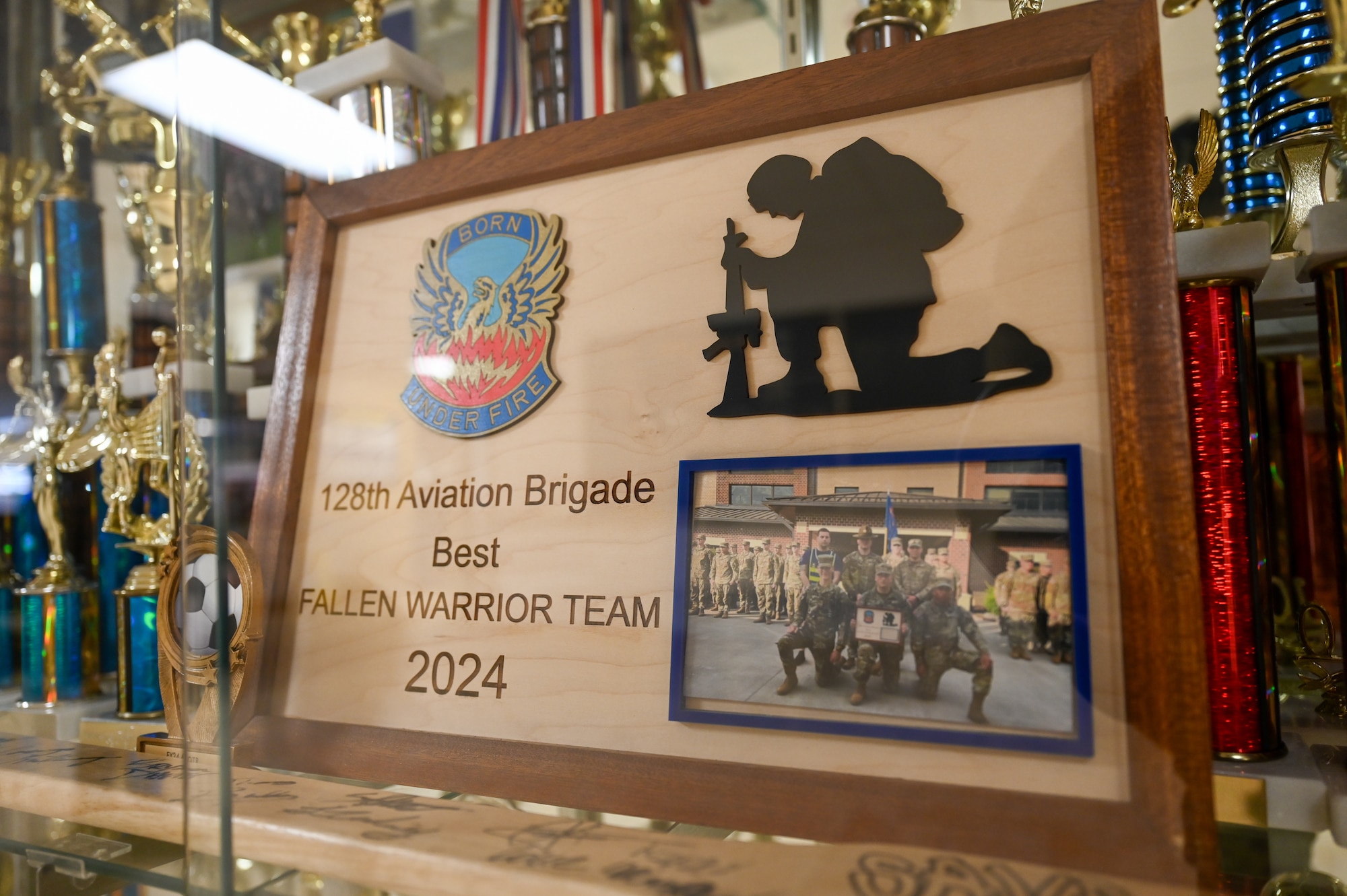 A picture in a framed display case.