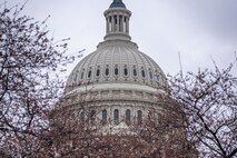 A springtime view of the U.S. Capitol.