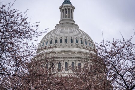 A springtime view of the U.S. Capitol.