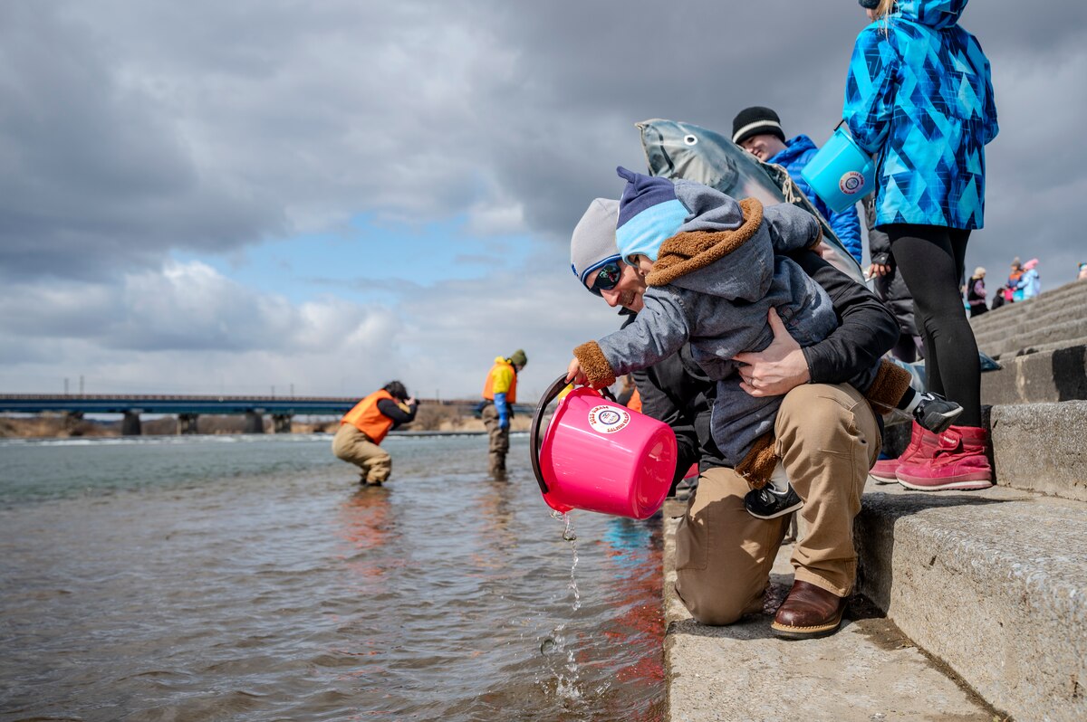 U.S. Air Force Col. Mathew Kenkel, 35th Fighter Wing (FW) deputy commander, and his son release juvenile salmon into a riverbank during the 26th Annual Oirase Salmon Release near the Oirase Shimoda Salmon Park at Oirase, Japan, March 15, 2025.