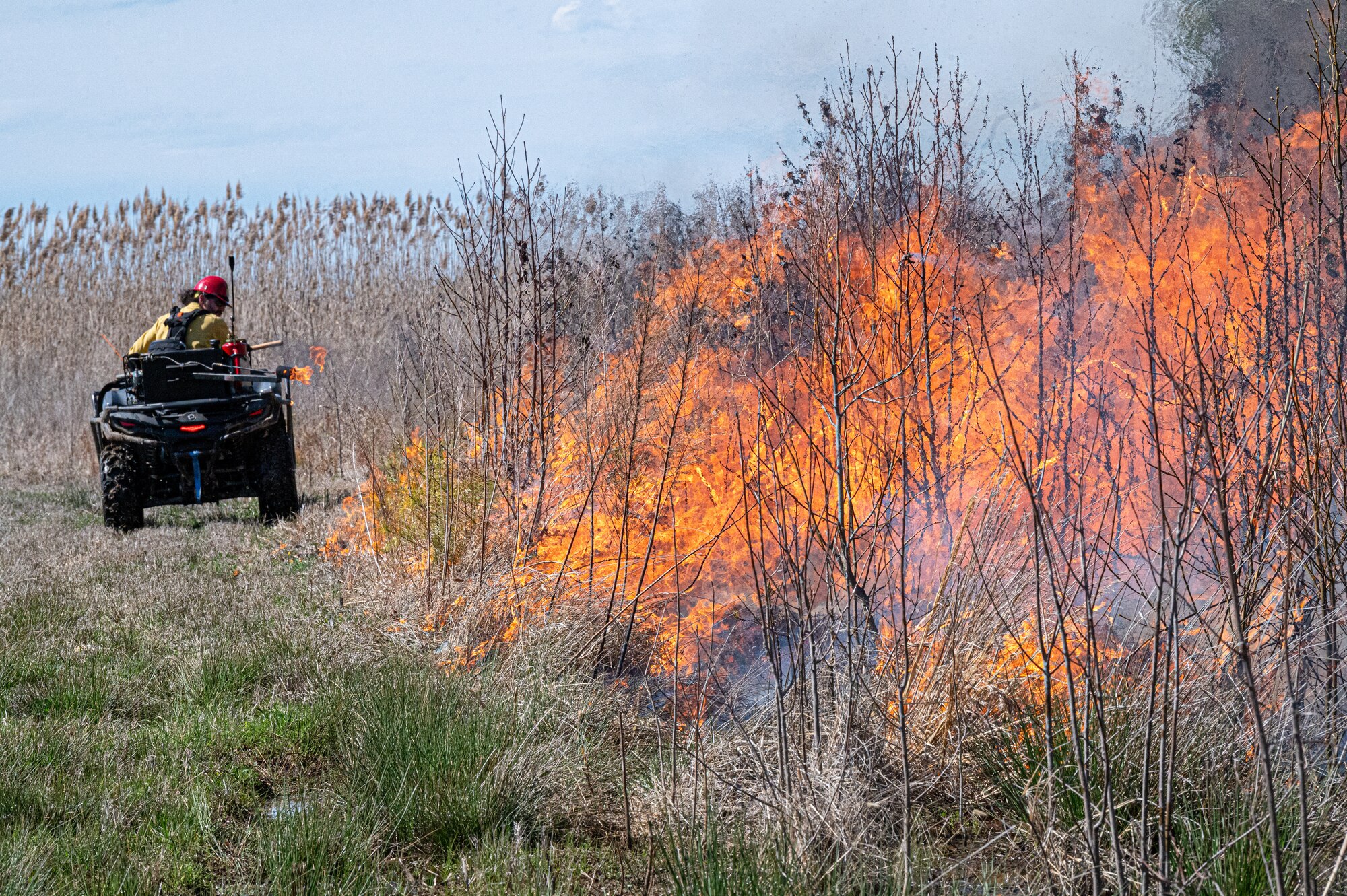 Firefighter rides his ATV along the flames