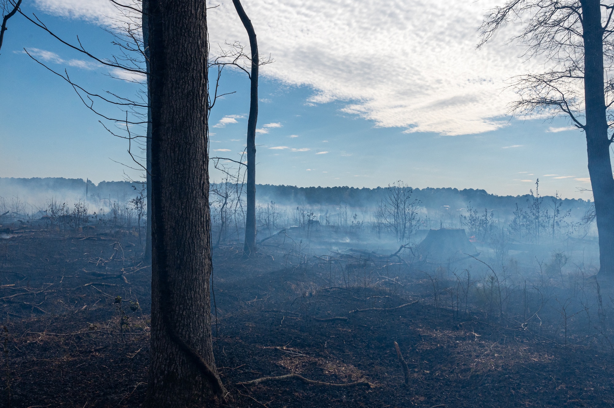 Smoke rises