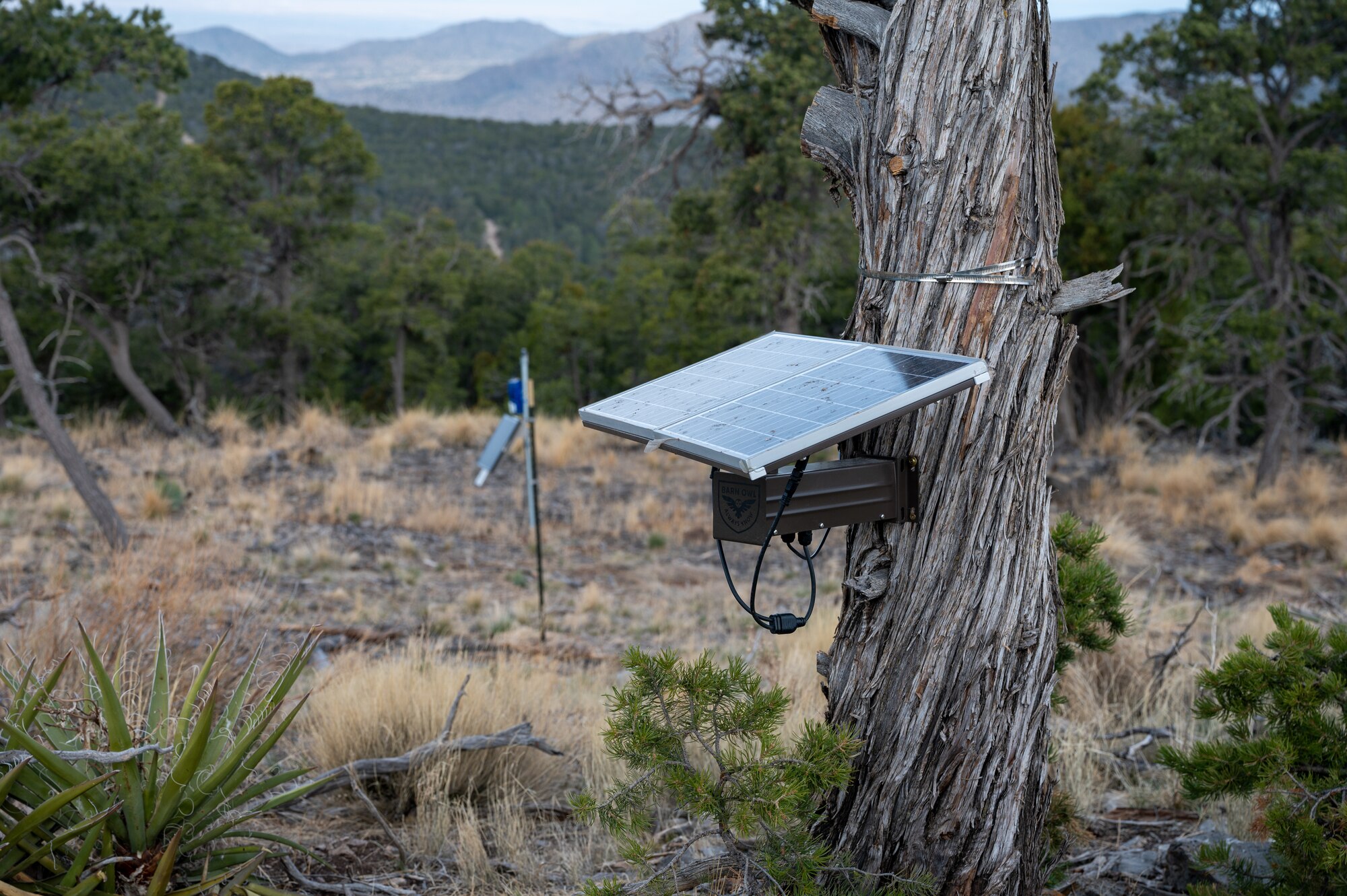 A wildfire detection sensor is mounted in the withdrawn area of Kirtland Air Force Base, N.M., as part of an advanced fire monitoring system. These state-of-the-art sensors provide real-time data on environmental conditions, enabling early wildfire detection and rapid response efforts. Kirtland AFB is leveraging cutting-edge technology to enhance conservation efforts and protect the installation’s natural resources. (U.S. Air Force photo by Airman 1st Class Donnell Schroeter)