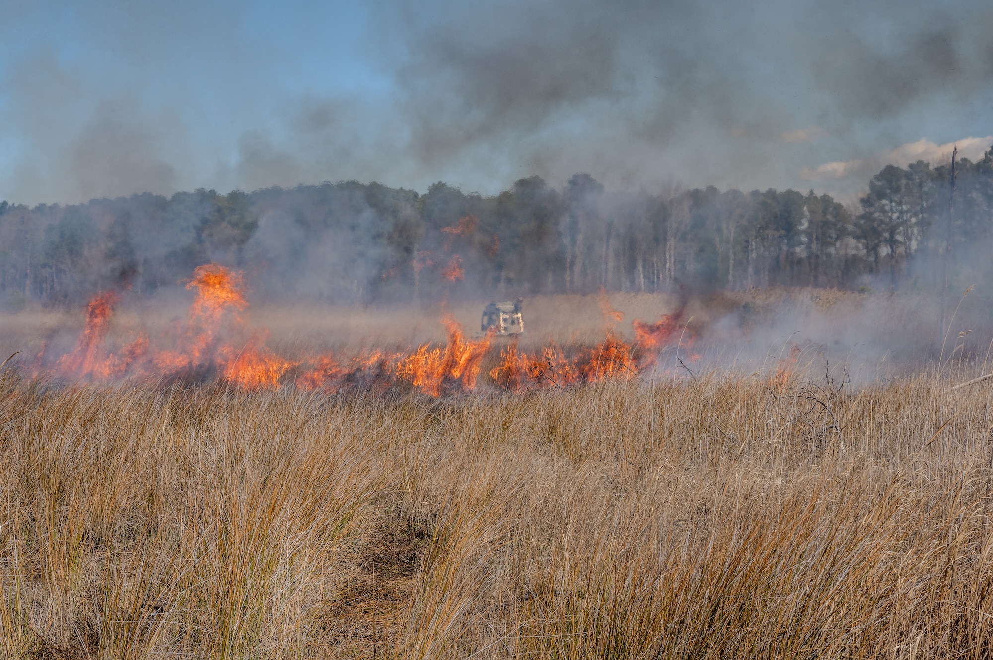 Fire in the marsh