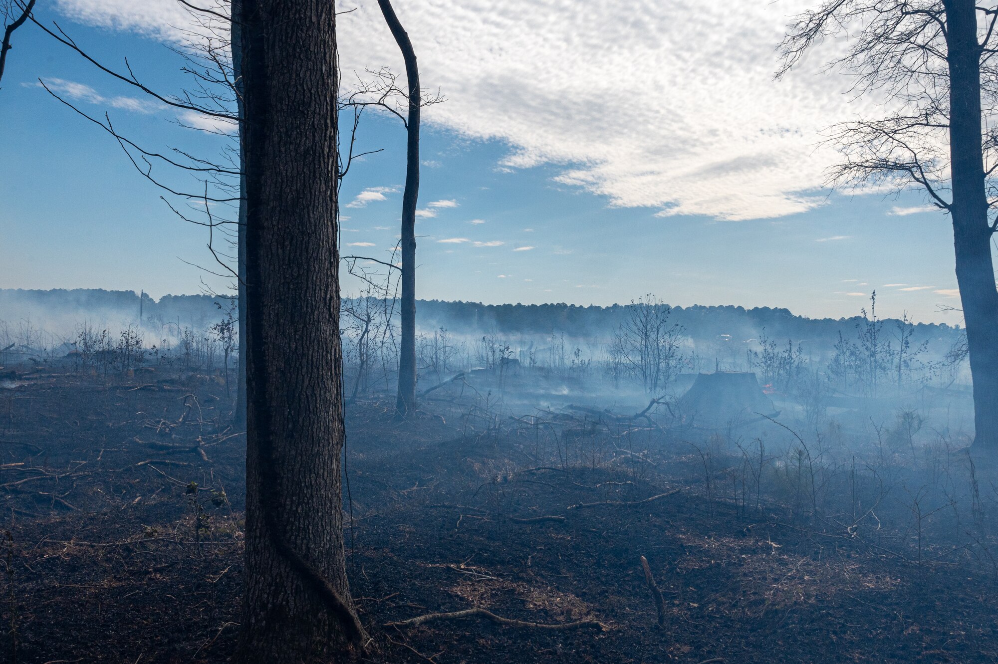 Smoke rises