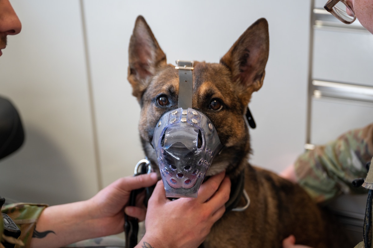 mwd posing for a photo