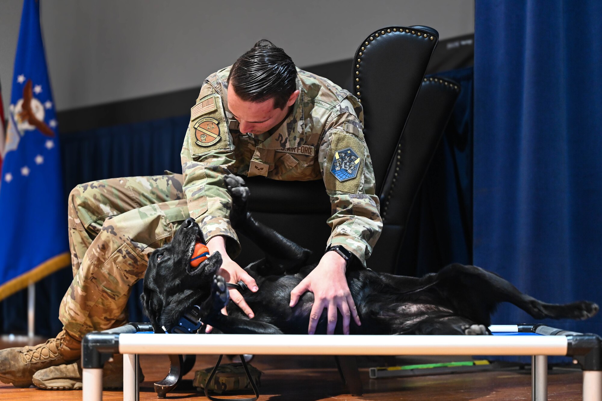 A dog is having her belly rubbed by a military member