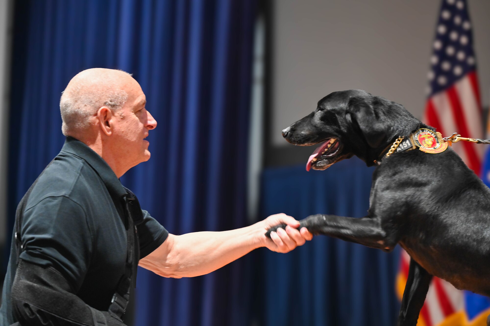 A dog is having her paw shaken