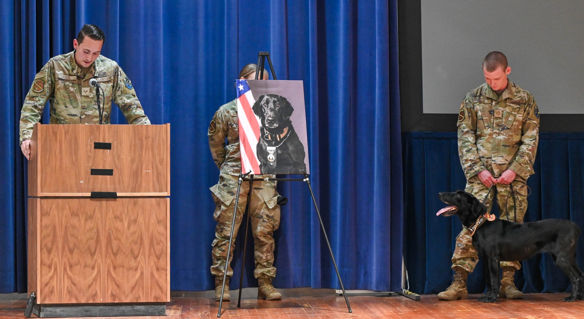 A dog is on stage with several military members