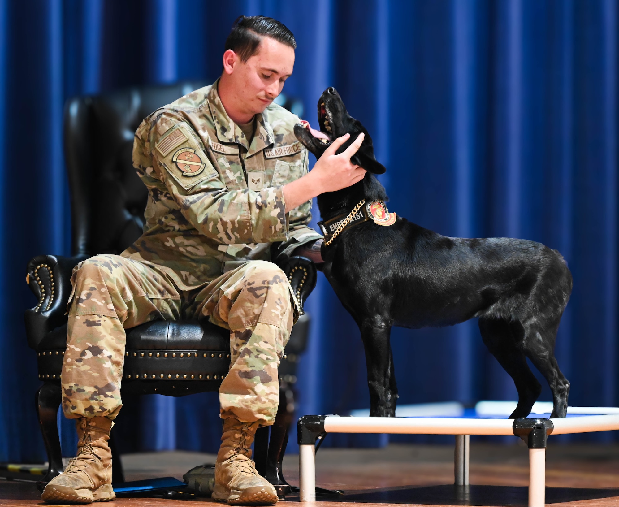 A military dog handler pets a MWD