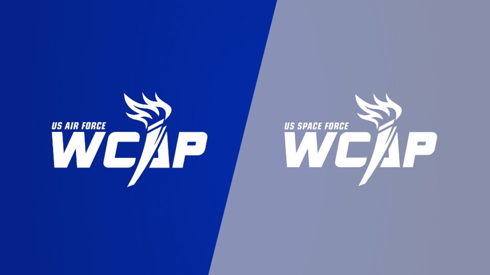 Air and Space Force WCAP graphic
