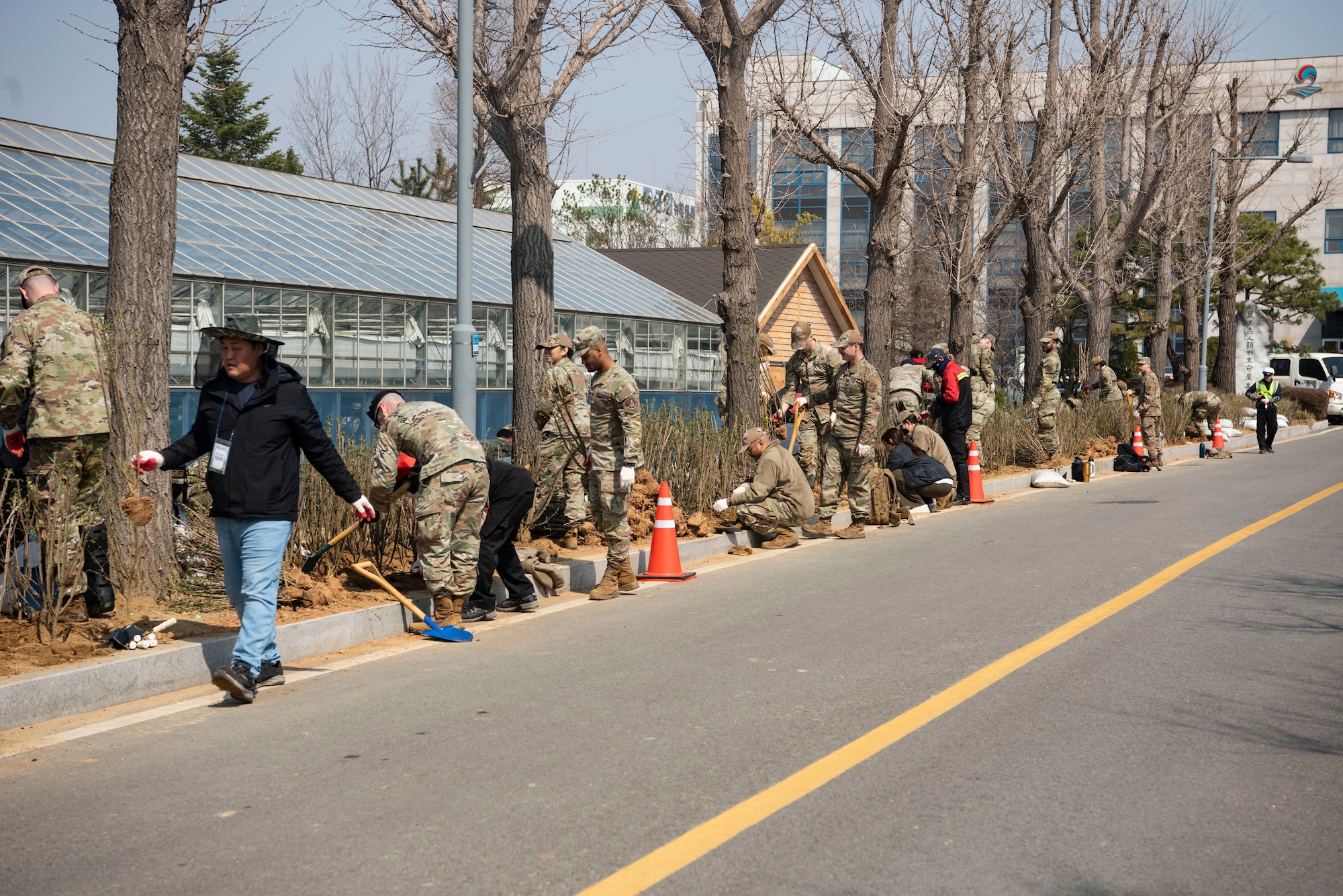 U.S Airmen assigned to the 51st Fighter Wing plant trees during the 80th Arbor Day event in Pyeongtaek, Republic of Korea, March 31, 2025.