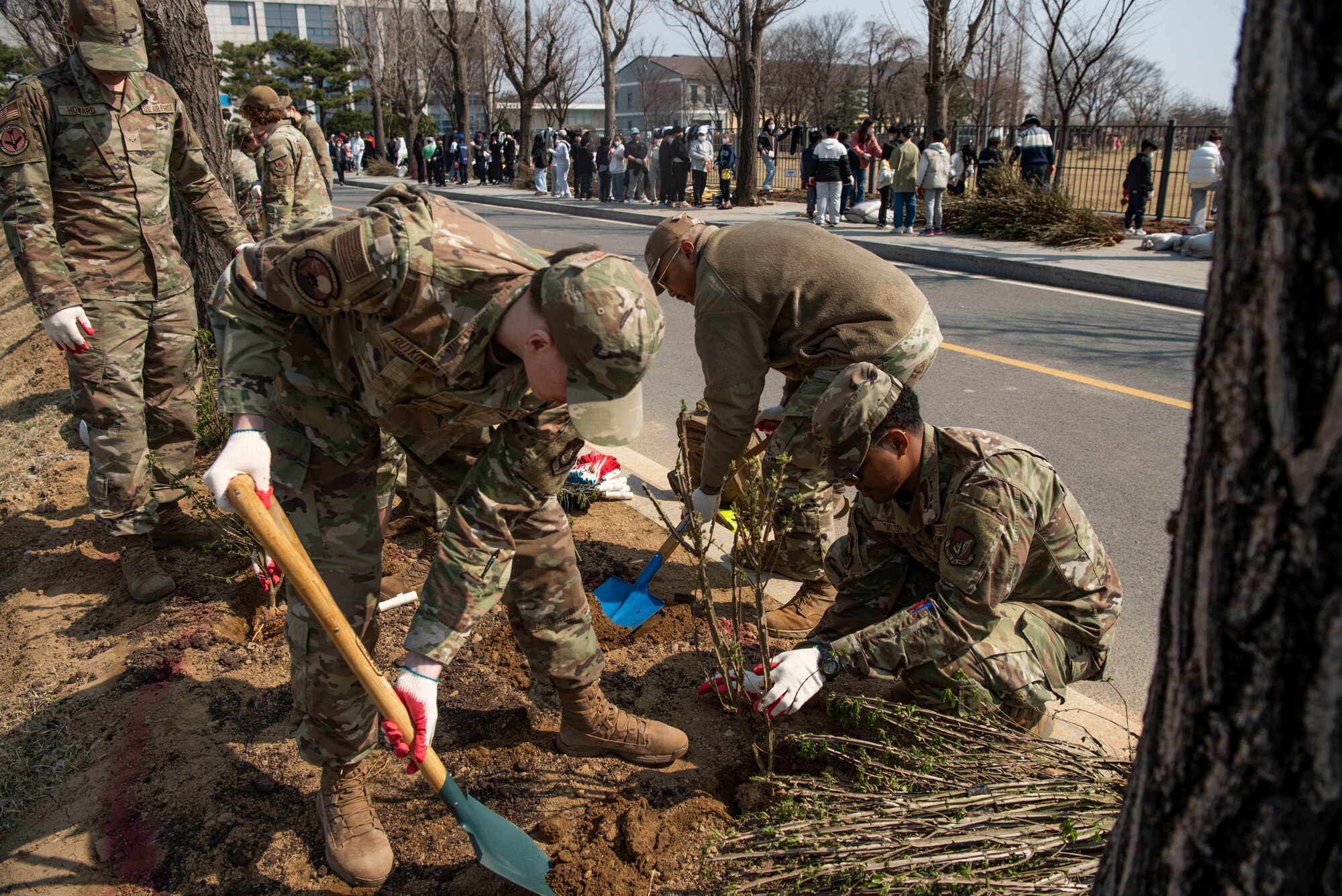 U.S. Airmen assigned to the 51st Fighter Wing plant trees during the 80th Arbor Day event in Pyeongtaek, Republic of Korea, March 31, 2025.