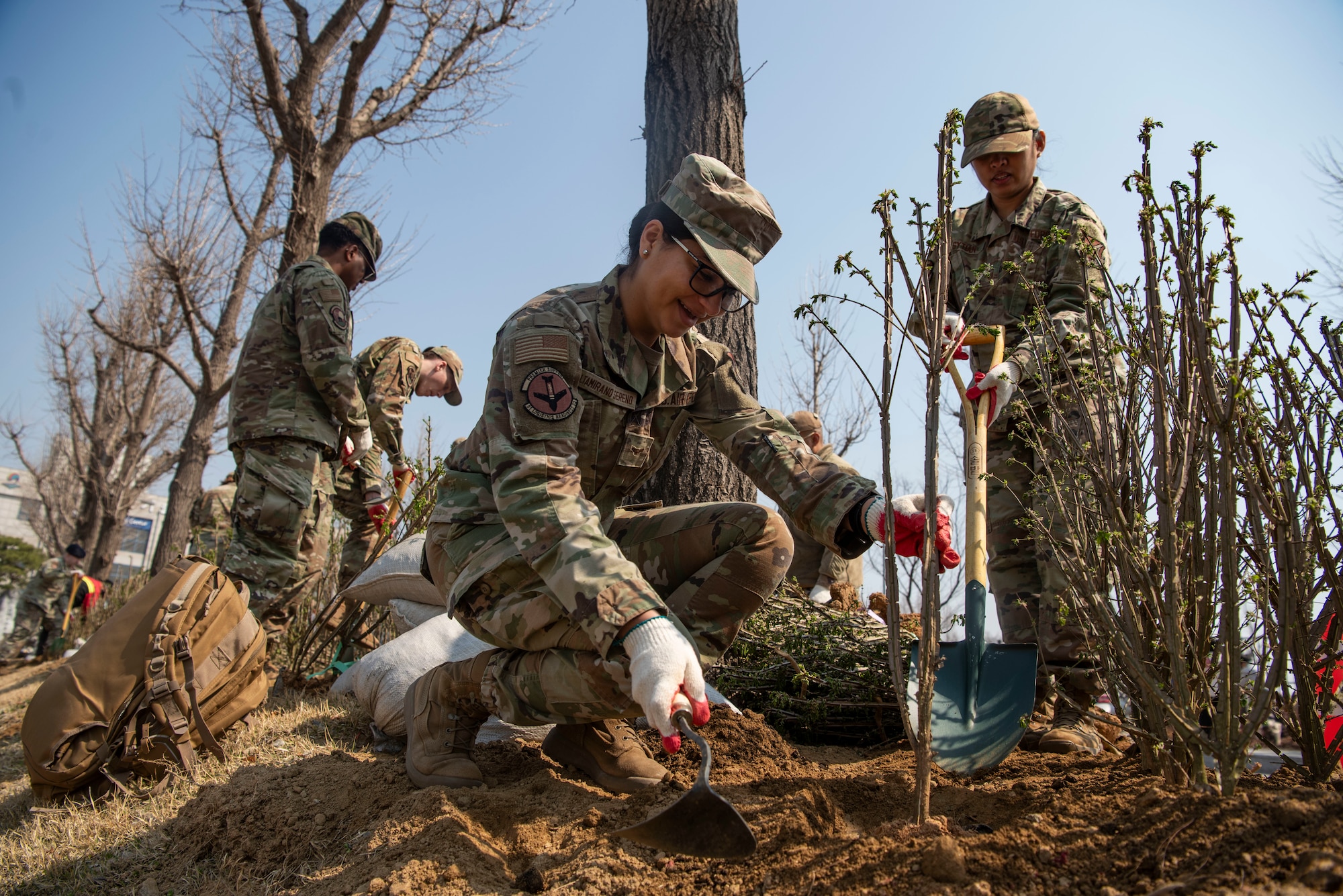 U.S. Airmen assigned to the 51st Fighter Wing plant trees during the 80th Arbor Day event in Pyeongtaek, Republic of Korea, March 31, 2025.