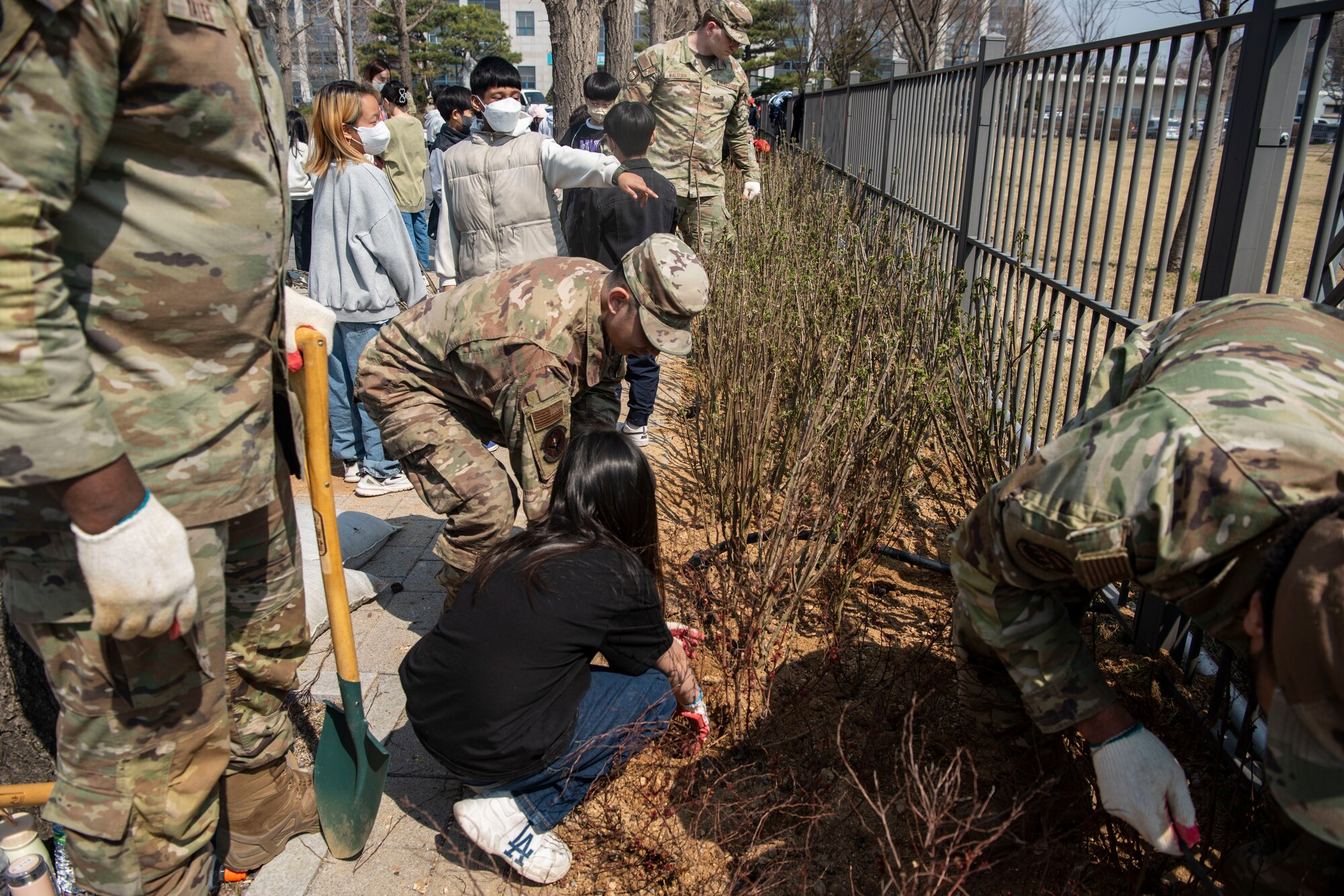 U.S. Airmen assigned to the 51st Fighter Wing help students of a local school plant trees during the 80th Arbor Day event in Pyeongtaek, Republic of Korea, March 31, 2025.