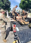 Master Sgt. Shane Bedard, Headquarters, 141st Air Refueling Wing, Washington Air National Guard talks with members of the El Salvador military as they conduct tactical combat casualty care training from Feb. 22 – March 8, 2025.