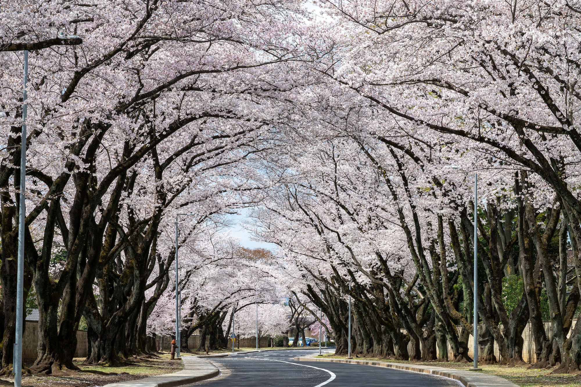 横田基地ニュース