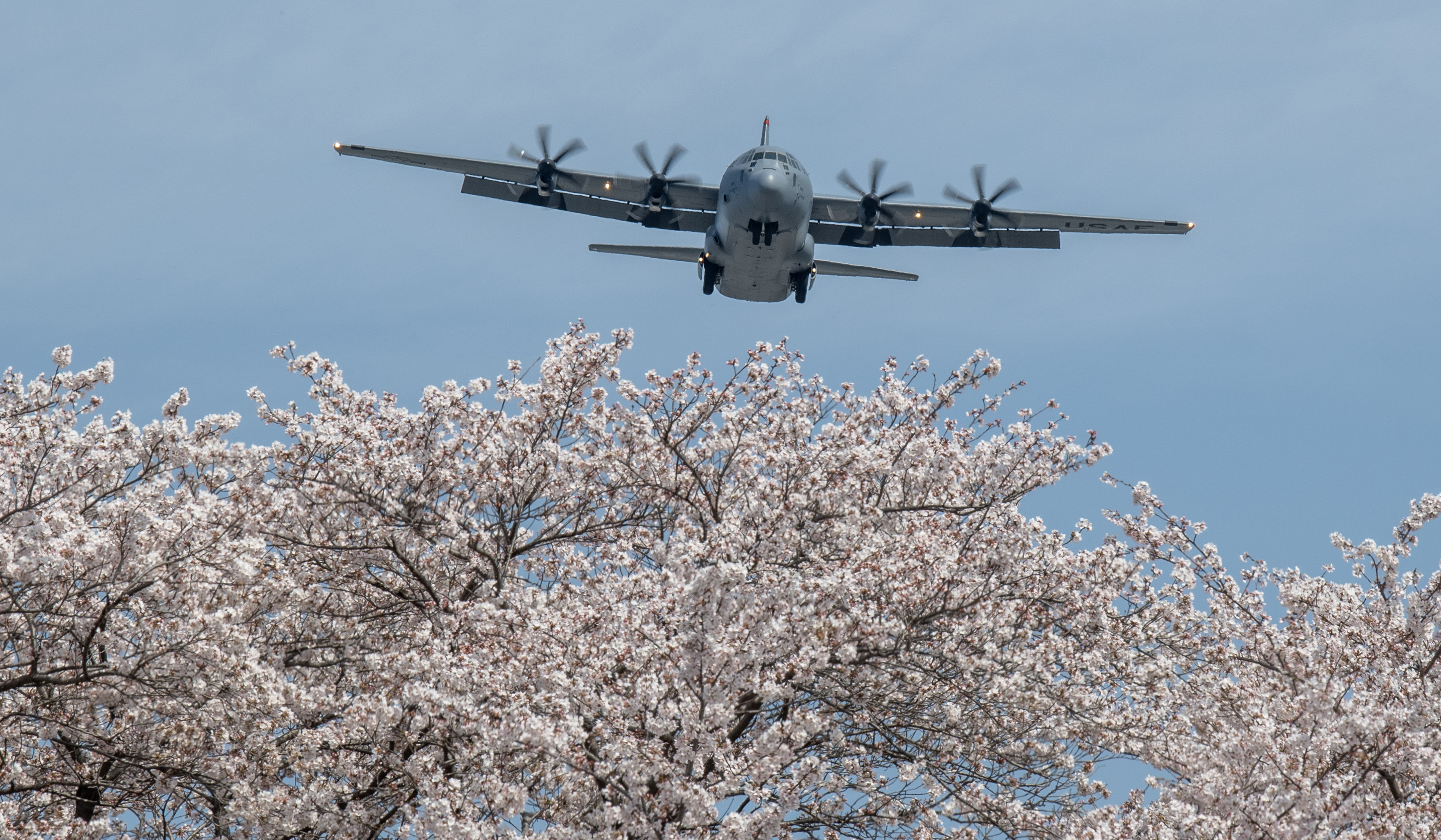 横田基地　YOKOTA AIR BASE AIR FORCE BALL 桜パッチ Yokota Annual Air Force Ball