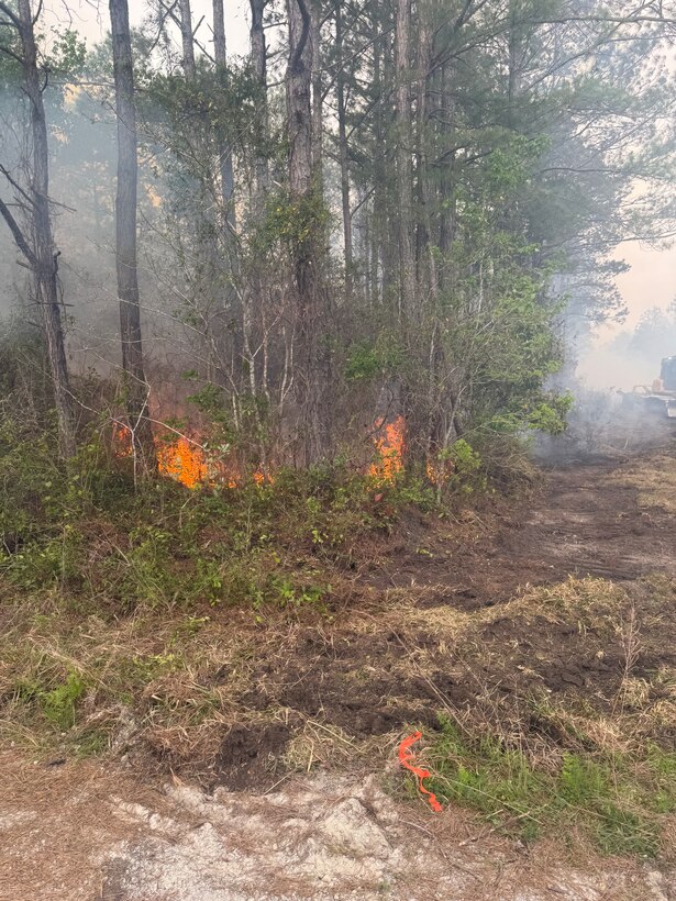Camp Lejeune Fire Department and Forestry Service Continue to Monitor and Contain 600-acre Wildfire