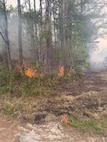 Camp Lejeune Fire Department and Forestry Service Continue to Monitor and Contain 600-acre Wildfire